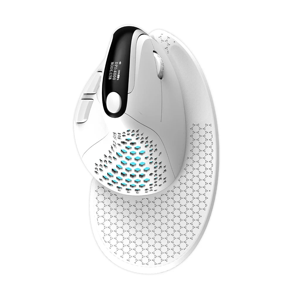 Seeker – Smart Mouse Co - Smart Mouse Co