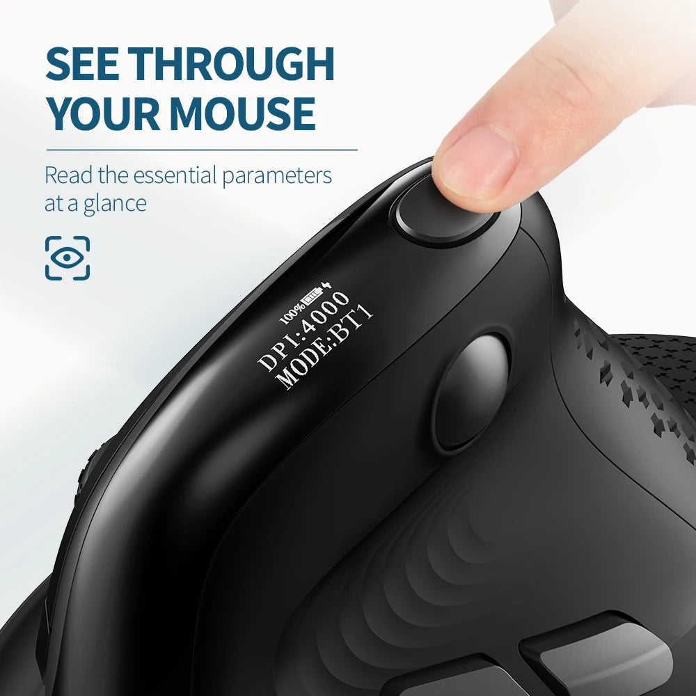 Seeker – Smart Mouse Co - Smart Mouse Co